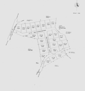 Plat layout of new homesites adjacent to the temple purchased from old cinnamon plantation.